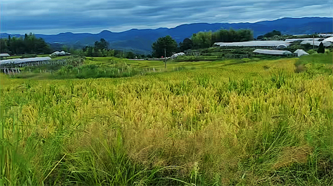 1719161686114956.png 1694424594807.png