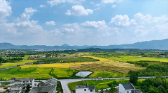 星座女神每日星座运势：2024年6月25日（风雅颂易学网）