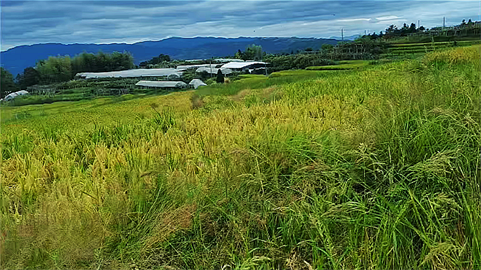 1719419793420834.png 1694424347302.png