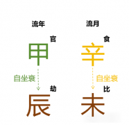 2024甲辰年辛未月运势（己土篇）测八字算命