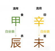 2024甲辰年辛未月运势（壬水篇）测八字算命