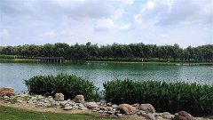 天秤座明日星座运势:2024年7月1日(风雅颂易学网)