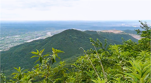 1721952956224996.png 1694424148290.png