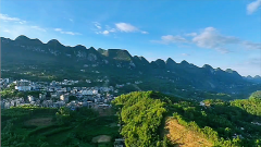 <b>阿妙占星每日星座运势：2024年7月31日（算命一条街蕞准网站)    </b>