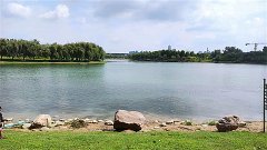 双鱼座明日星座运势：2024年11月26日（真人算命最准一条街）