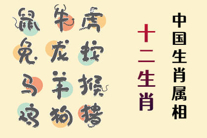 未命名图片 (85).png