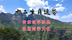 郑博士：11月27日生肖运势、今明吉凶播报(一对一算命一条街)