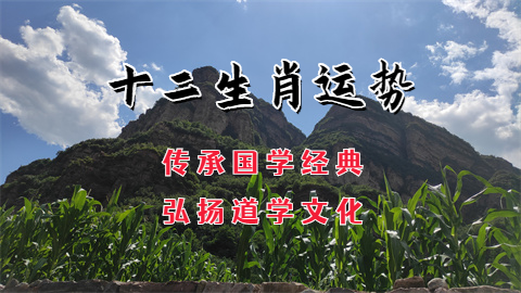 1735871796301015.png 未命名图片 (90).png