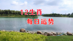 郑博士：1月20日生肖运势、今明吉凶播报(一对一算命一条街)