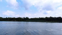 星座女神每日星座运势：2025年2月6日（真人算命一条街）