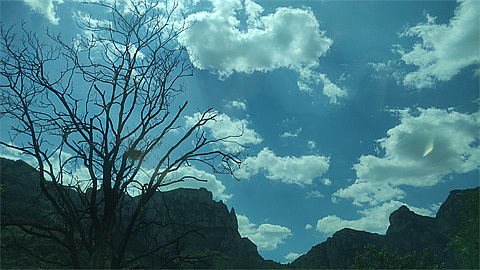 1740583335309299.jpg d8d810b90f7334e7703d8613c52d275.jpg