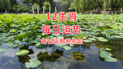 郑博士：3月14日生肖运势、今明吉凶播报(一对一算命一条街)