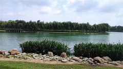 Ezoey徐佩玲每日星座运势：2025年3月15日（算命一条街蕞准网站)   