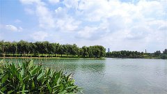 星座女神每日星座运势：2025年3月23日（真人算命一条街）