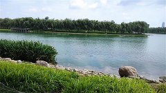 处女座明日星座运势：2025年3月24日（真人算命最准一条街）