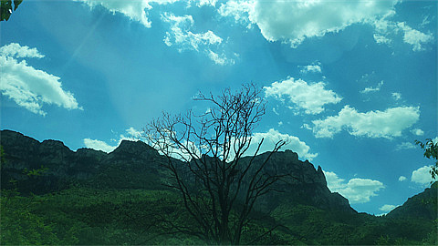 1744902218137486.jpg cc92851d35664f17aa7f3d71c0cd6a8.jpg