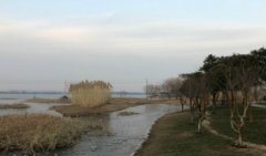 Ezoey徐佩玲每日星座运势：2025年5月11日（算命一条街蕞准网站)     