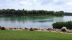 闹闹女巫店今日星座运势：2025年5月22日（算卦街算命一条街）    