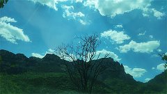 天秤座明日星座运势：2025年5月23日（真人算命最准一条街）