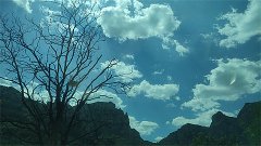 闹闹女巫店今日星座运势：2025年5月25日（算卦街算命一条街）