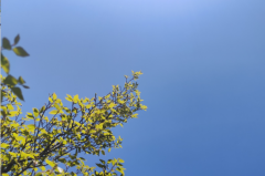 白羊座明日星座运势：2025年5月26日（真人算命最准一条街）