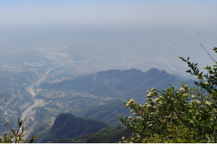 金牛座明日星座运势：2025年5月26日（真人算命最准一条街）