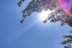 双子座明日星座运势：2025年5月26日（真人算命最准一条街）