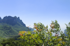 天秤座明日星座运势：2025年5月26日（真人算命最准一条街）