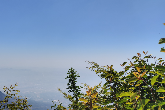 1748214929691966.png 1748178264296.png