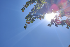 闹闹女巫店今日星座运势：2025年5月26日（算卦街算命一条街）