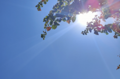 苏珊米勒每日星座运势：2025年5月27日（真人算命网站）