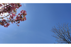 狂月今日星座运势：2025年5月27日（算卦街算命一条街）    