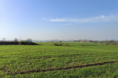 白羊座明日星座运势：2025年5月27日（真人算命最准一条街）