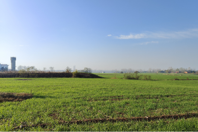 1748270844688929.png 1748245377800.png