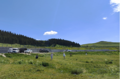 巨蟹座明日星座运势：2025年5月29日（真人算命最准一条街）