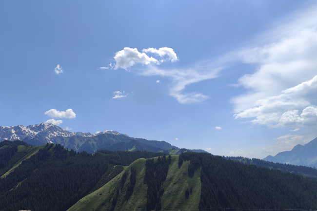 1748443424409102.png 1748434099451.png