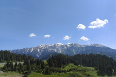 天秤座明日星座运势：2025年5月29日（真人算命最准一条街）