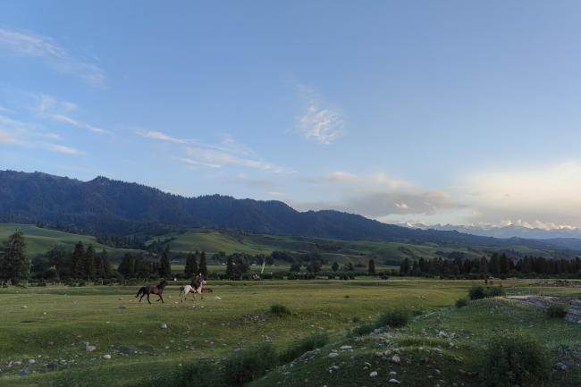 1748531735149789.png 1748526721167.png