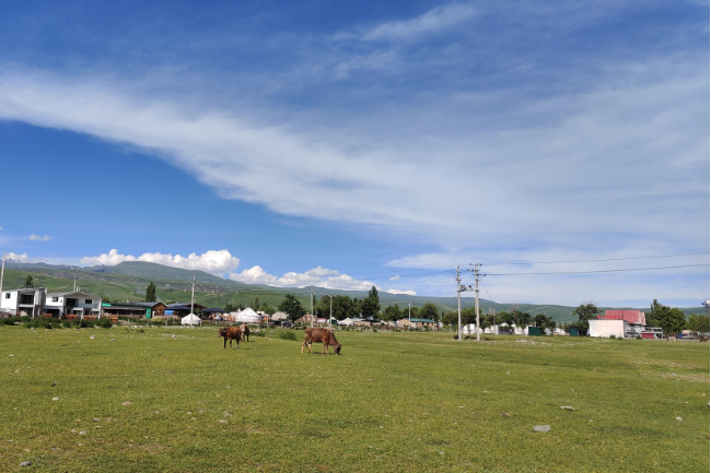 1748531871800955.png 1748528619932.png