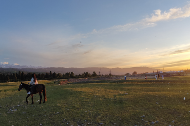 1748617845843155.png 1748519907500.png