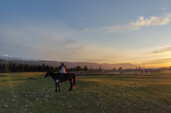 白羊座明日星座运势：2025年6月1日（真人算命最准一条街）