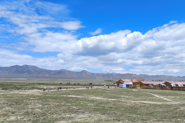 1748877325873251.png 1748781778690.png