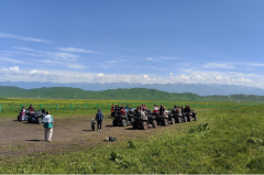 爱莎公主今日星座运势：2025年6月3日（算卦街算命一条街）