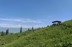 闹闹女巫店今日星座运势：2025年6月3日（算卦街算命一条街）