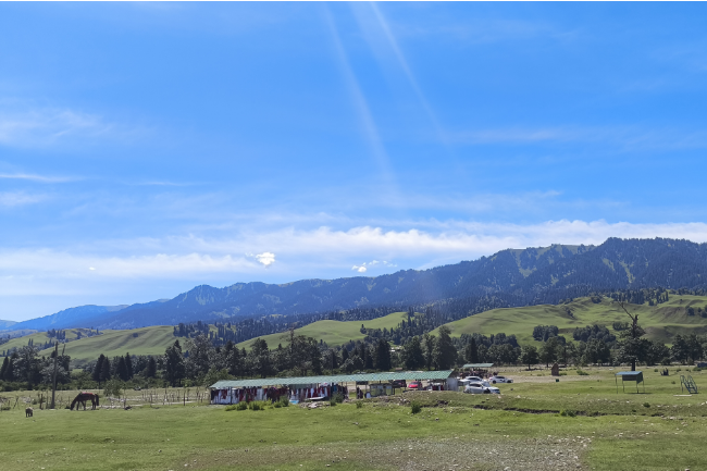 1748964352886443.png 1748962013424.png