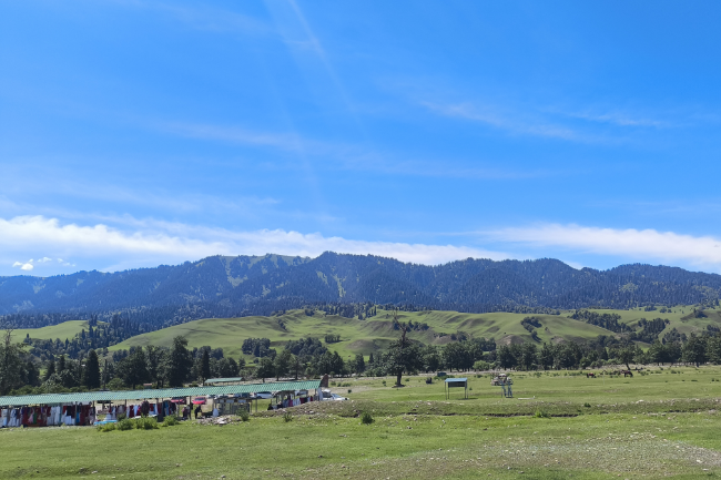 1748964620604255.png 1748962103410.png