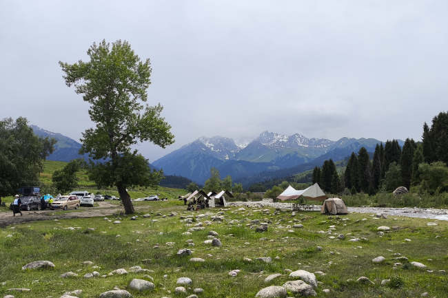 1749049789303005.png 1749033889088.png