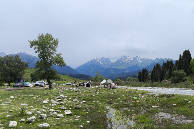 1749049995256439.png 1749033401044.png