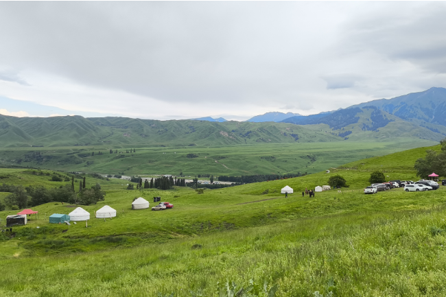 1749136994252744.png 1749027407885.png