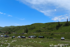 星座女神每日星座运势：2025年6月6日（真人算命一条街）